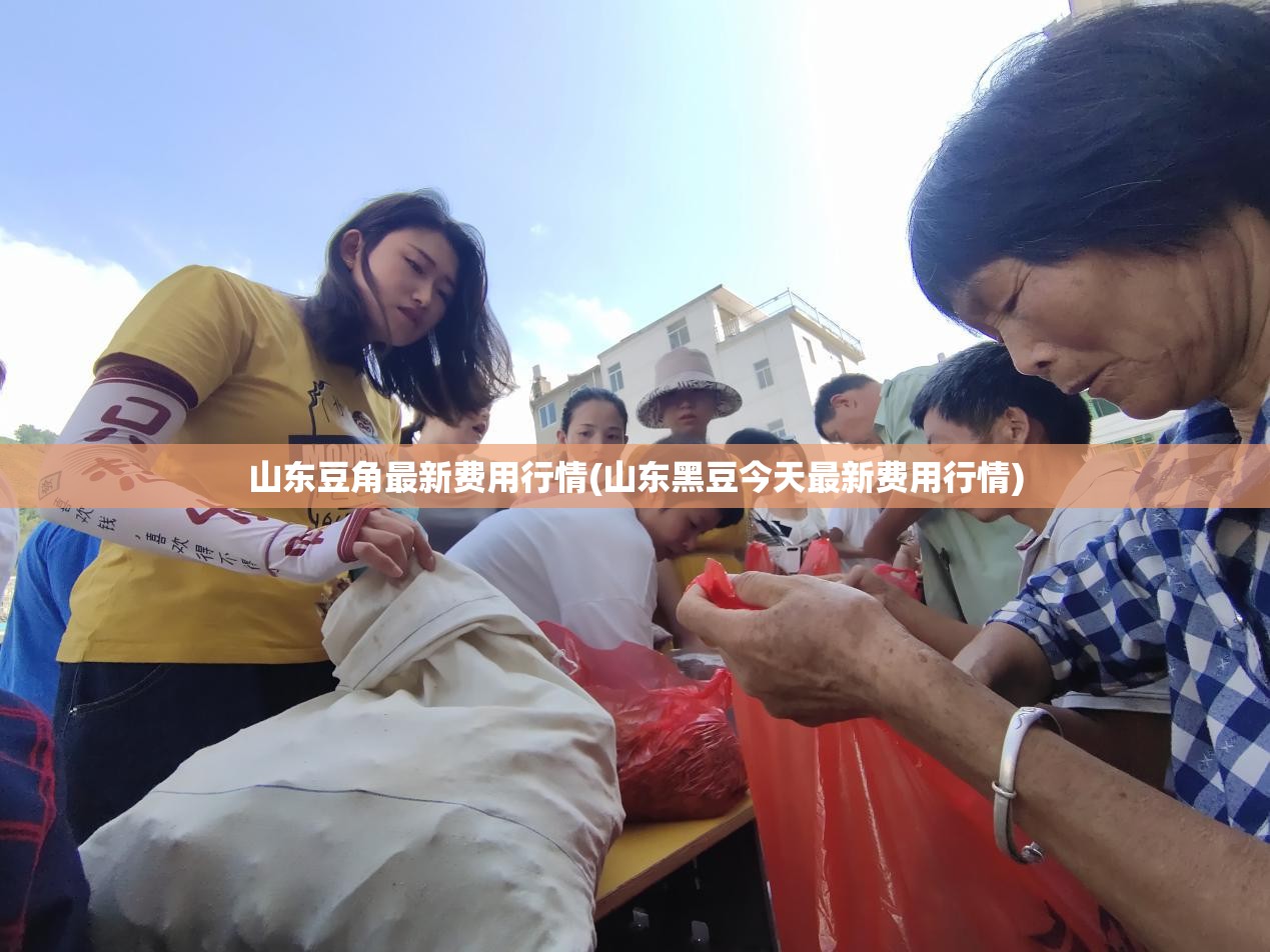 山东豆角最新费用行情(山东黑豆今天最新费用行情)