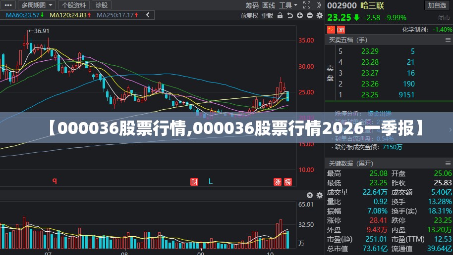 【000036股票行情,000036股票行情2026一季报】