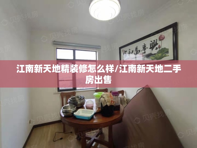 江南新天地精装修怎么样/江南新天地二手房出售