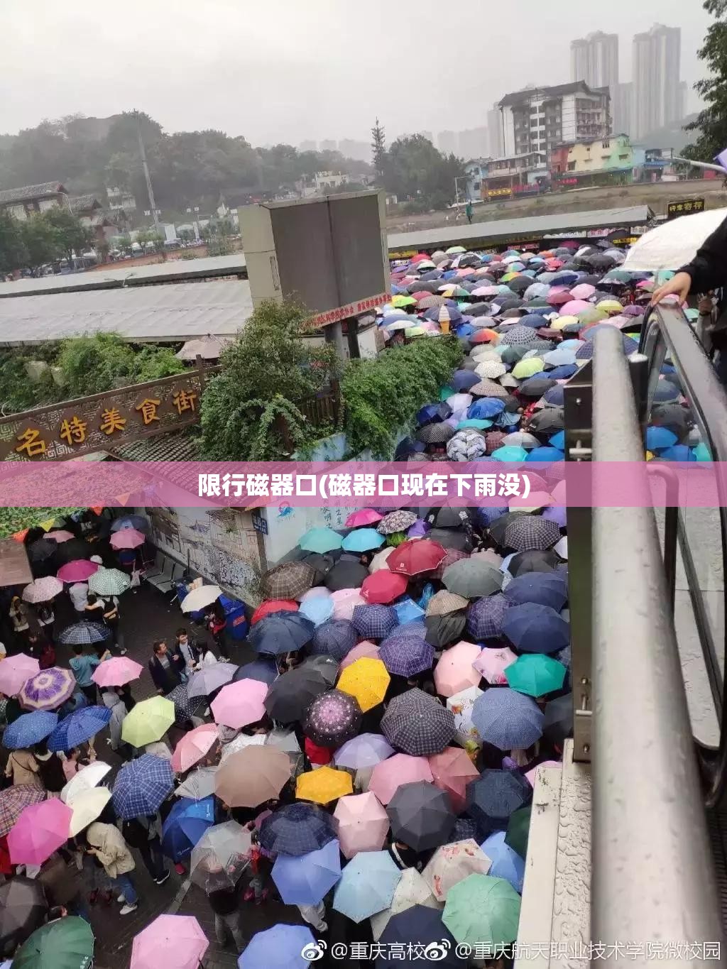 限行磁器口(磁器口现在下雨没)