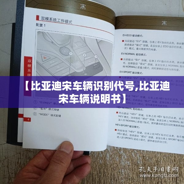 【比亚迪宋车辆识别代号,比亚迪宋车辆说明书】 【比亚迪宋车辆识别代号,比亚迪宋车辆说明书】