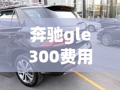 奔驰gle300费用及图片/奔驰gle300费用及图片报价