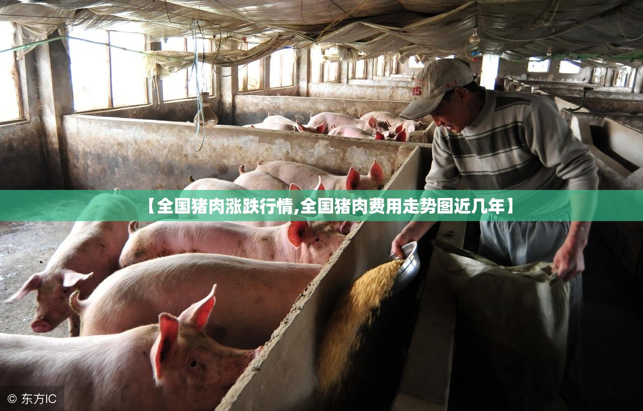 【全国猪肉涨跌行情,全国猪肉费用走势图近几年】