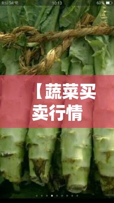 【蔬菜买卖行情,2026蔬菜商情网产地费用】