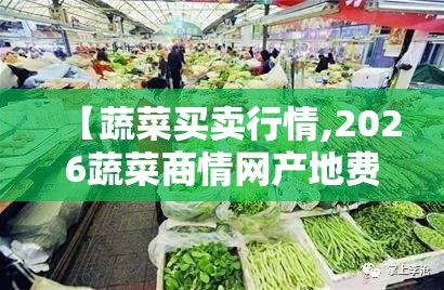 【蔬菜买卖行情,2026蔬菜商情网产地费用】