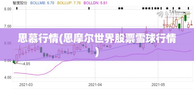 思慕行情(思摩尔世界股票雪球行情)