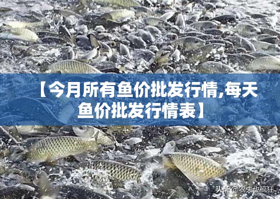 【今月所有鱼价批发行情,每天鱼价批发行情表】