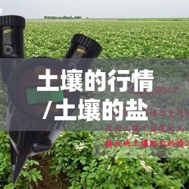 土壤的行情/土壤的盐度