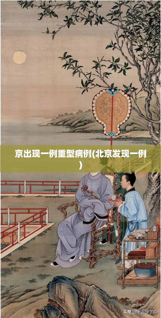 京出现一例重型病例(北京发现一例)