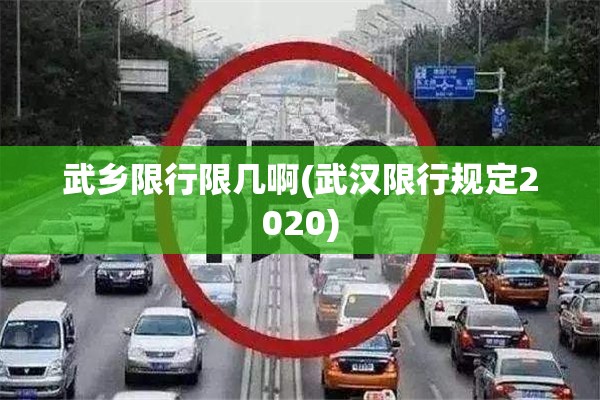 武乡限行限几啊(武汉限行规定2020)