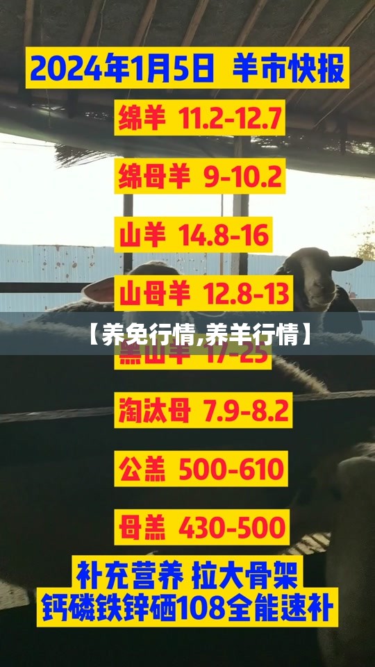 【养免行情,养羊行情】