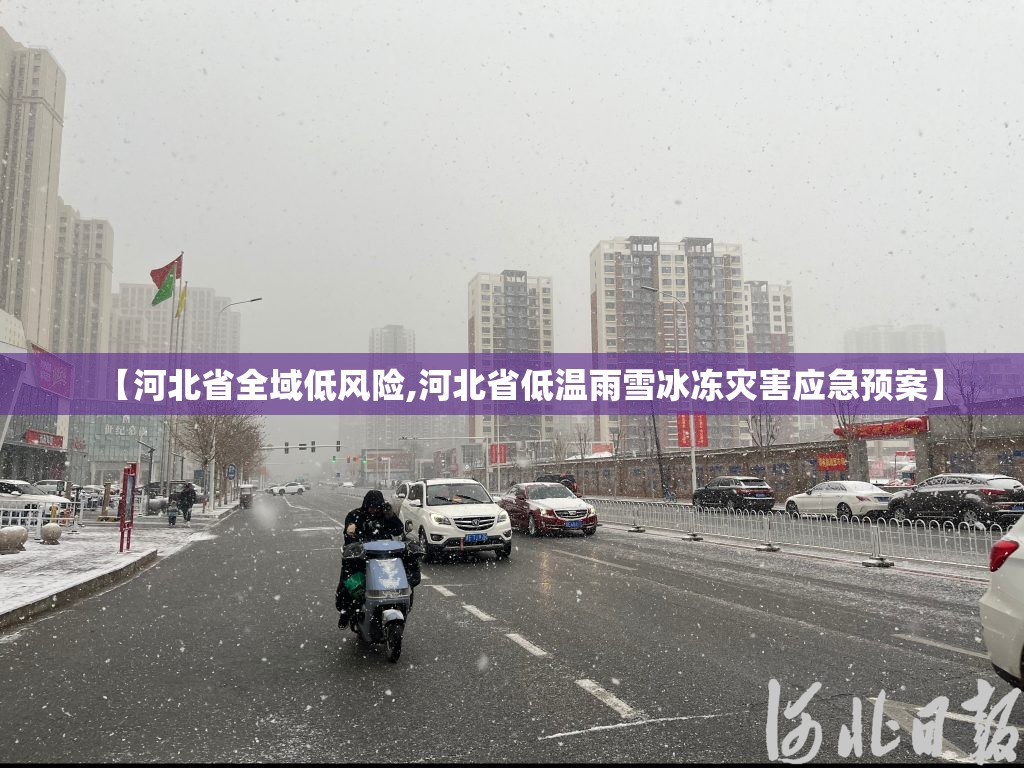 【河北省全域低风险,河北省低温雨雪冰冻灾害应急预案】