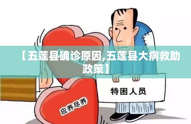 【五莲县确诊原因,五莲县大病救助政策】