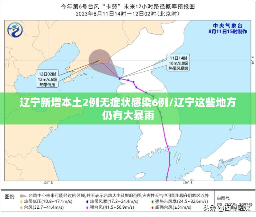 辽宁新增本土2例无症状感染6例/辽宁这些地方仍有大暴雨