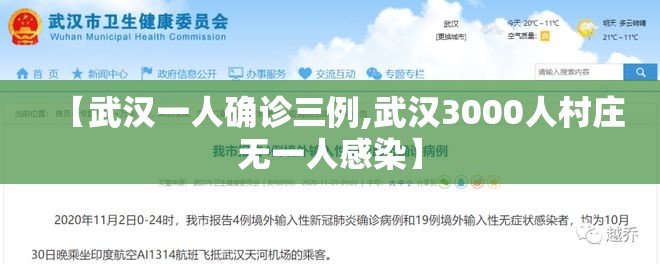 【武汉一人确诊三例,武汉3000人村庄无一人感染】 【武汉一人确诊三例,武汉3000人村庄无一人感染】