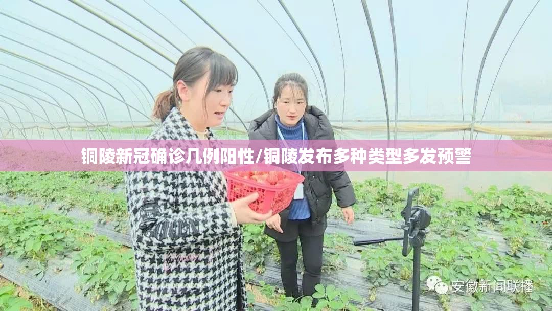 铜陵新冠确诊几例阳性/铜陵发布多种类型多发预警 铜陵新冠确诊几例阳性/铜陵发布多种类型多发预警