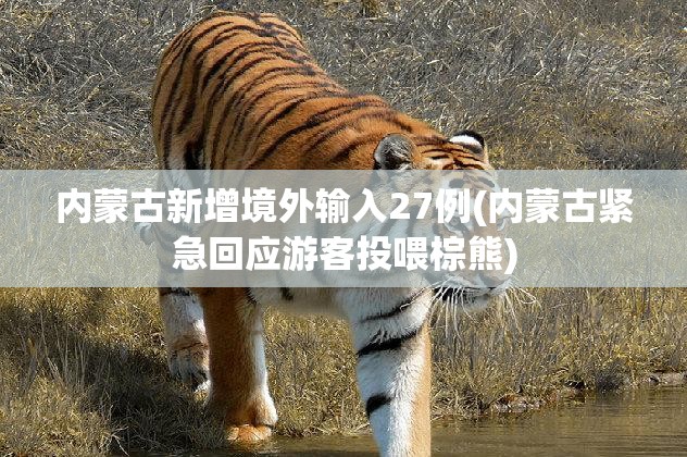 内蒙古新增境外输入27例(内蒙古紧急回应游客投喂棕熊)