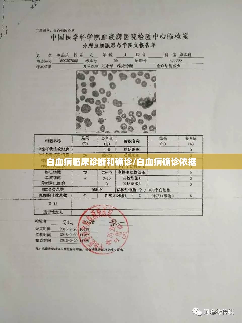 白血病临床诊断和确诊/白血病确诊依据