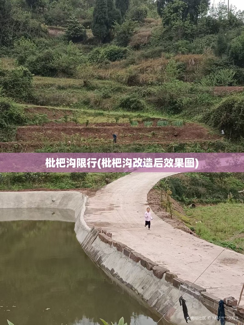枇杷沟限行(枇杷沟改造后效果图) 枇杷沟限行(枇杷沟改造后效果图)