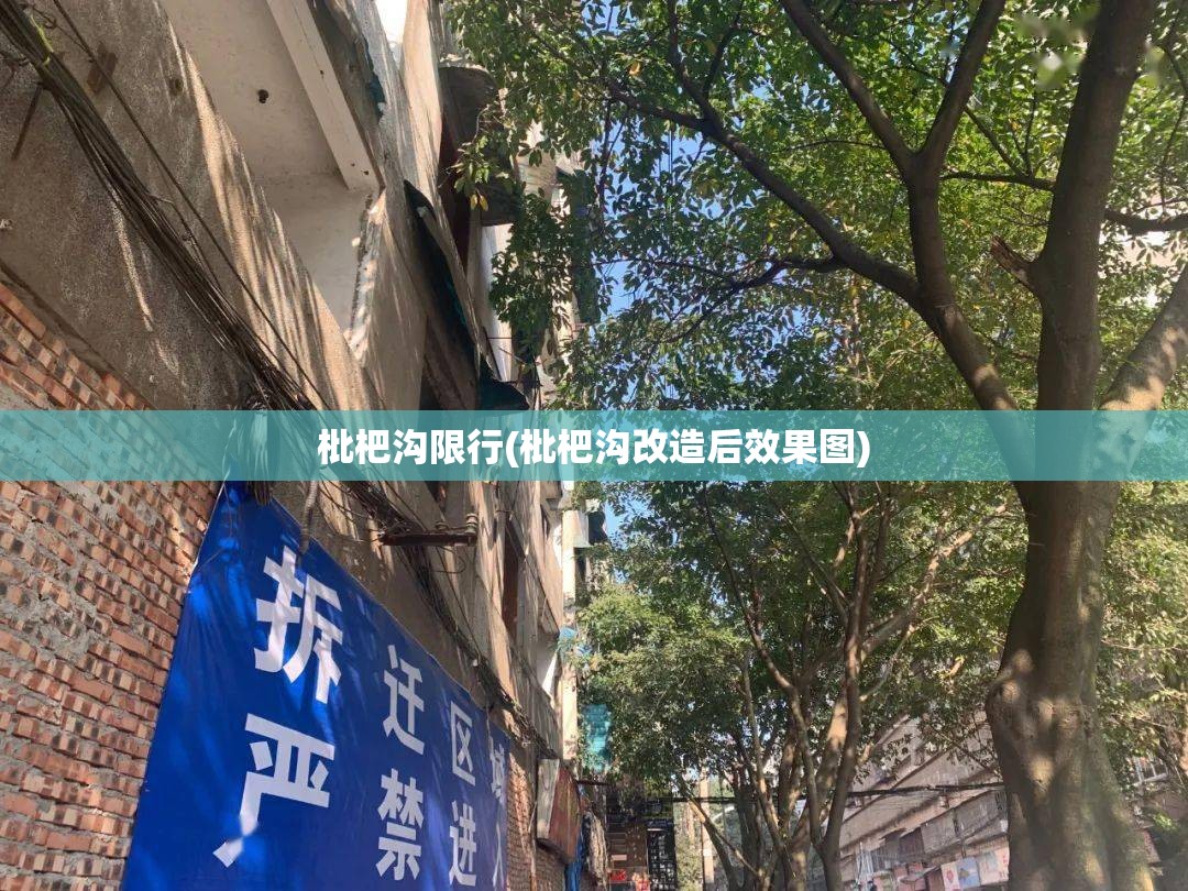 枇杷沟限行(枇杷沟改造后效果图) 枇杷沟限行(枇杷沟改造后效果图)