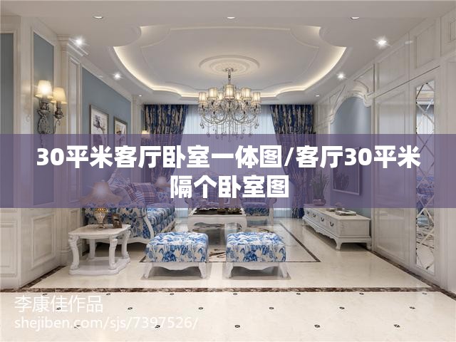 30平米客厅卧室一体图/客厅30平米隔个卧室图