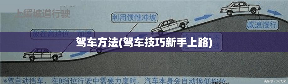 驾车方法(驾车技巧新手上路)