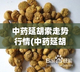 中药延胡索走势行情(中药延胡索的用途) 中药延胡索走势行情(中药延胡索的用途)