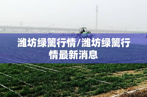 潍坊绿篱行情/潍坊绿篱行情最新消息 潍坊绿篱行情/潍坊绿篱行情最新消息