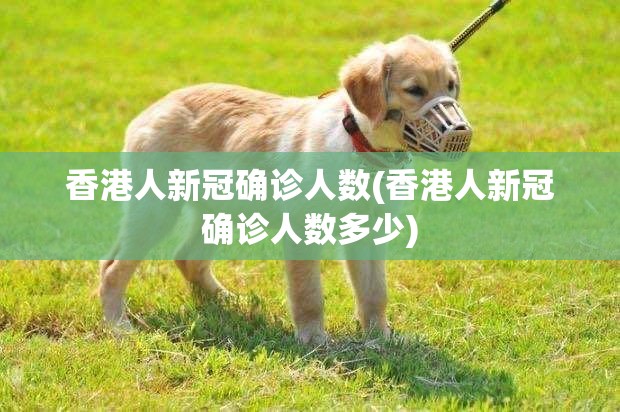 香港人新冠确诊人数(香港人新冠确诊人数多少)