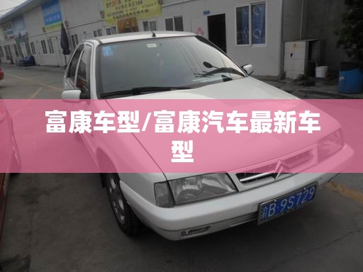 富康车型/富康汽车最新车型