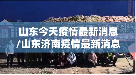 山东今天疫情最新消息/山东济南疫情最新消息 山东今天疫情最新消息/山东济南疫情最新消息