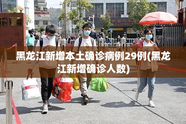 黑龙江新增本土确诊病例29例(黑龙江新增确诊人数)