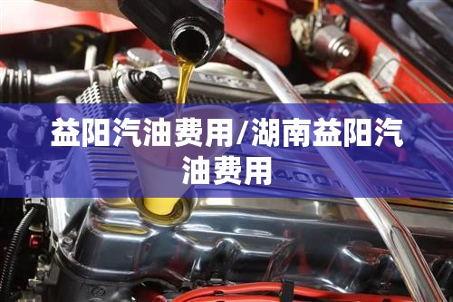 益阳汽油费用/湖南益阳汽油费用