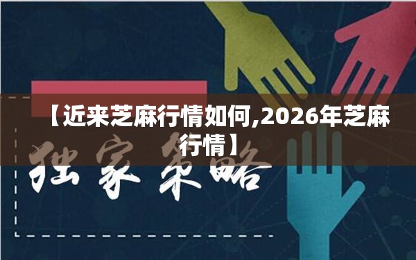 【近来芝麻行情如何,2026年芝麻行情】