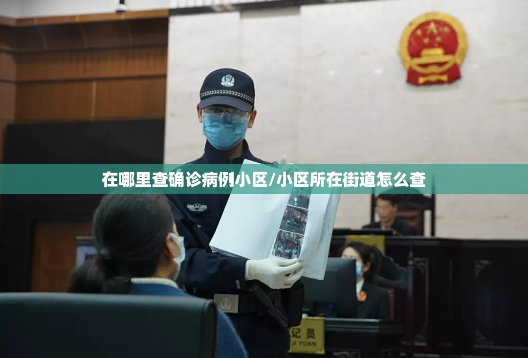 在哪里查确诊病例小区/小区所在街道怎么查 在哪里查确诊病例小区/小区所在街道怎么查