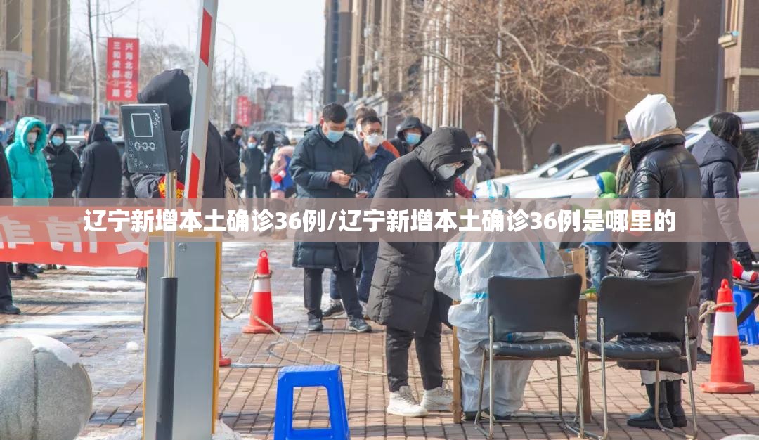 辽宁新增本土确诊36例/辽宁新增本土确诊36例是哪里的