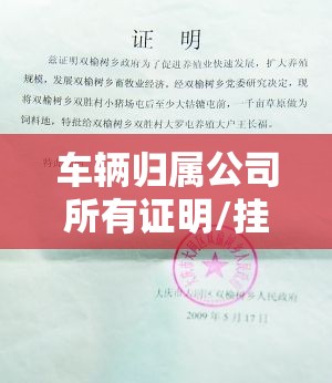 车辆归属公司所有证明/挂靠公司车辆所属个人证明怎么写