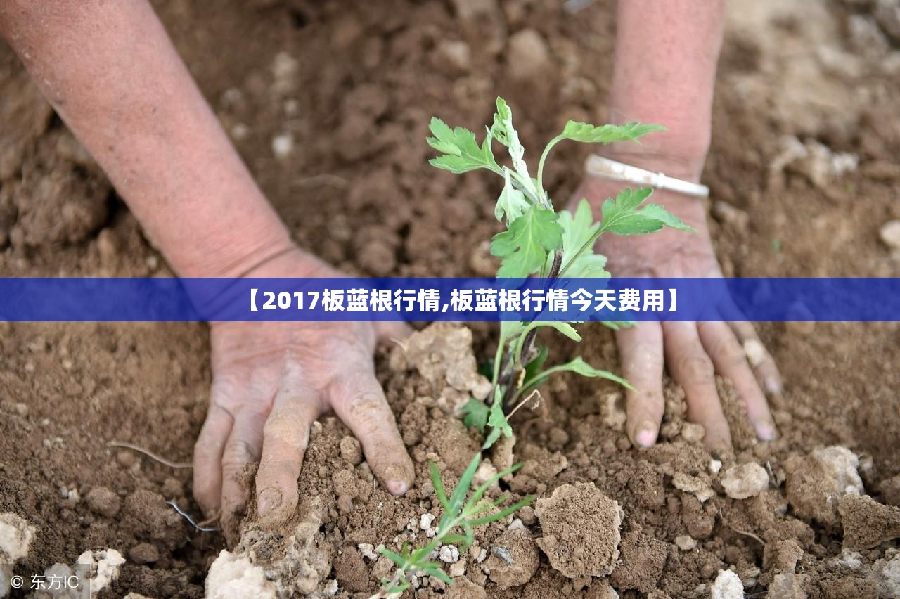 【2017板蓝根行情,板蓝根行情今天费用】