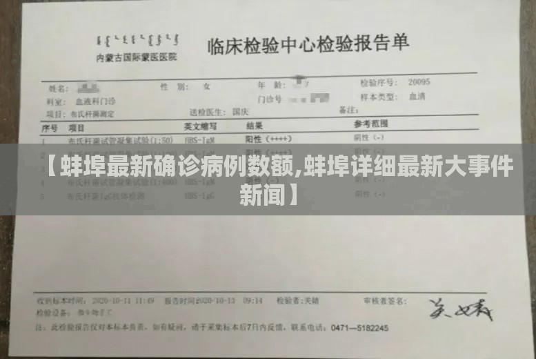 【蚌埠最新确诊病例数额,蚌埠详细最新大事件新闻】