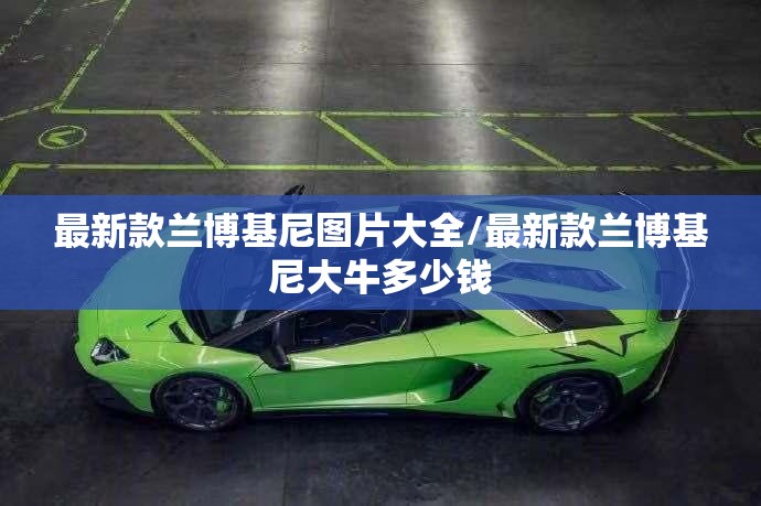 最新款兰博基尼图片大全/最新款兰博基尼大牛多少钱 最新款兰博基尼图片大全/最新款兰博基尼大牛多少钱