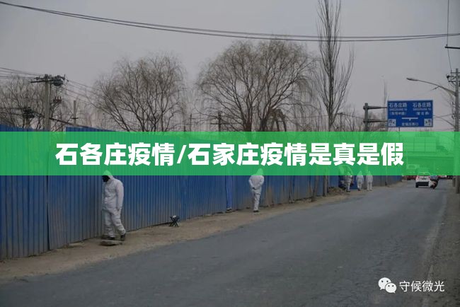 石各庄疫情/石家庄疫情是真是假 石各庄疫情/石家庄疫情是真是假