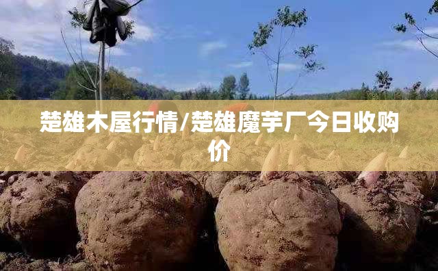 楚雄木屋行情/楚雄魔芋厂今日收购价 楚雄木屋行情/楚雄魔芋厂今日收购价