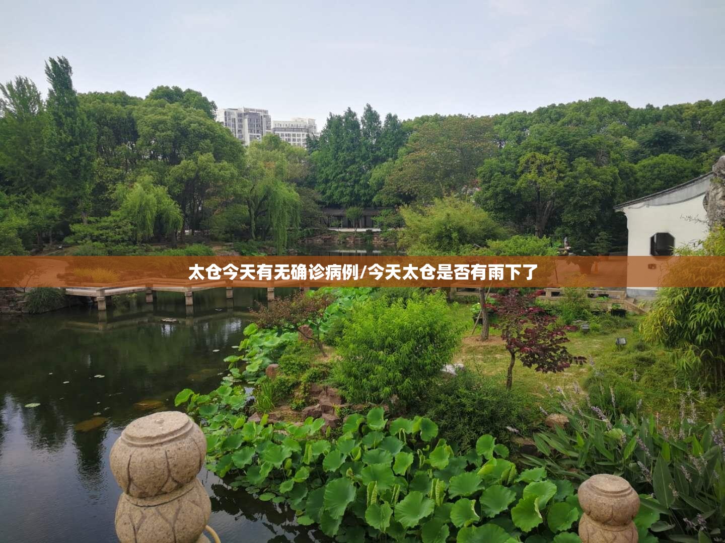 太仓今天有无确诊病例/今天太仓是否有雨下了