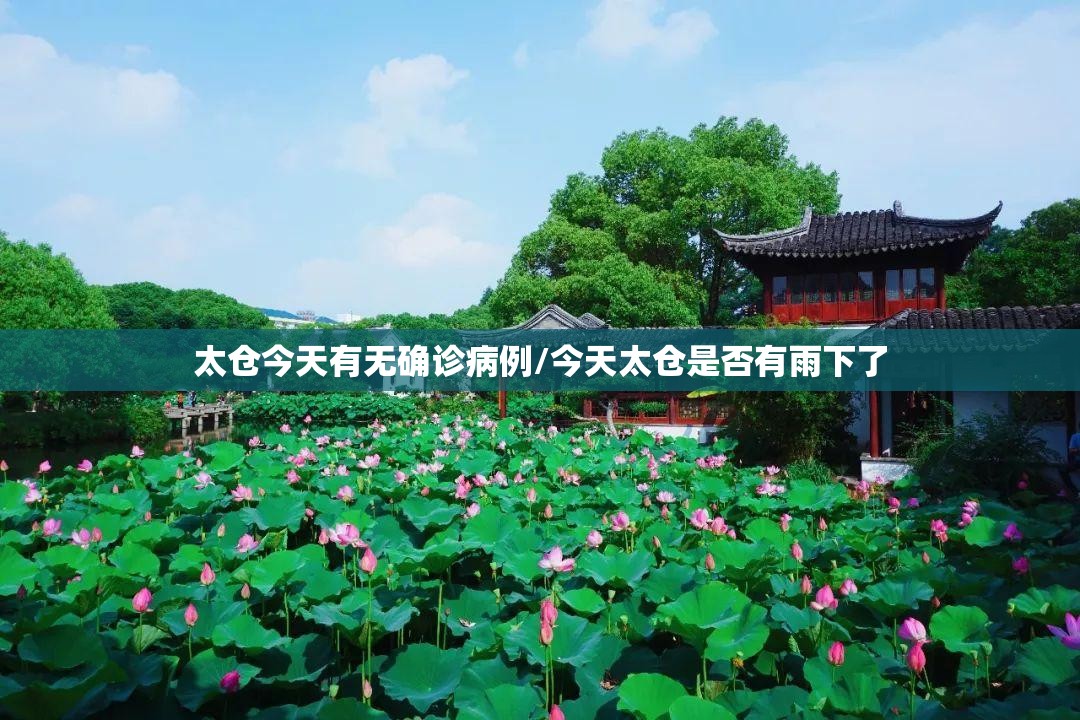 太仓今天有无确诊病例/今天太仓是否有雨下了