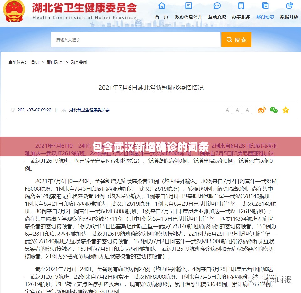 包含武汉新增确诊的词条