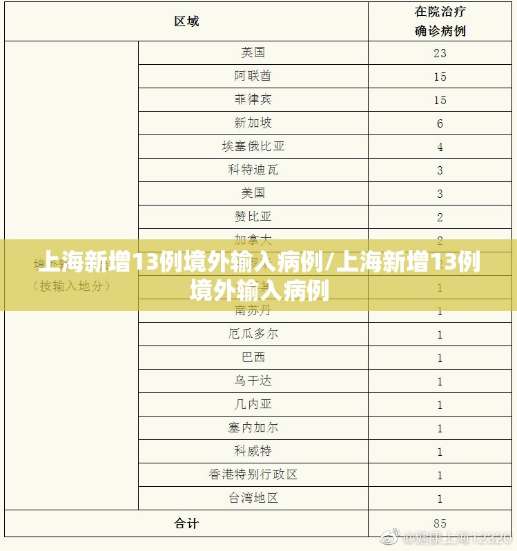 上海新增13例境外输入病例/上海新增13例境外输入病例