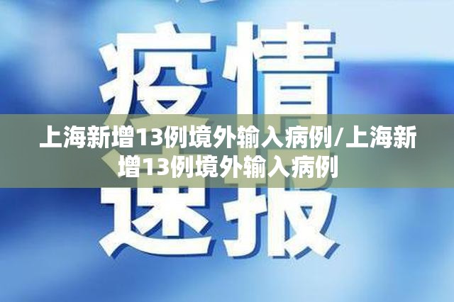 上海新增13例境外输入病例/上海新增13例境外输入病例