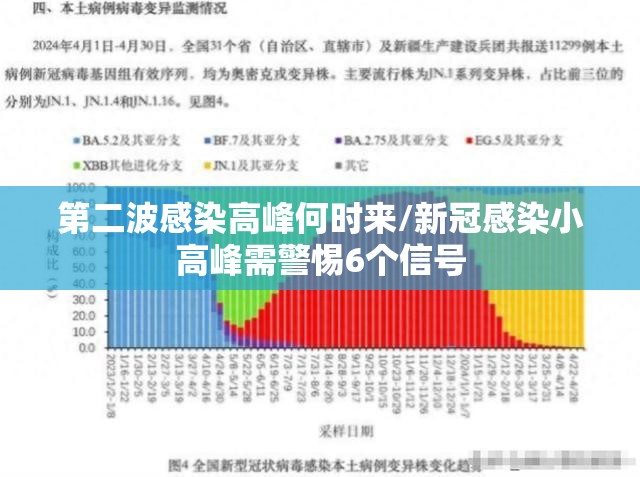 第二波感染高峰何时来/新冠感染小高峰需警惕6个信号