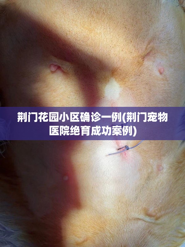 荆门花园小区确诊一例(荆门宠物医院绝育成功案例)