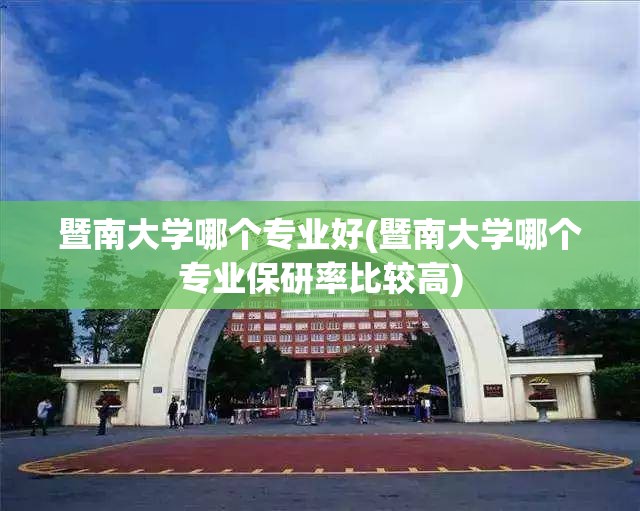 暨南大学哪个专业好(暨南大学哪个专业保研率比较高)